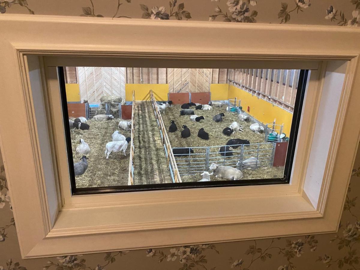 Newly Built Apartment Next Door To The Sheep Norrfjarden Buitenkant foto