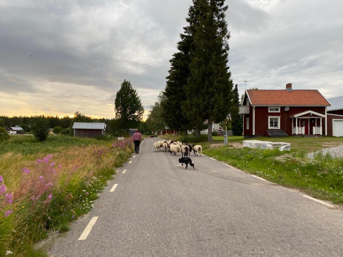 Newly Built Apartment Next Door To The Sheep Norrfjarden Buitenkant foto